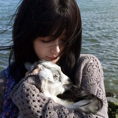 舞宫春色海报